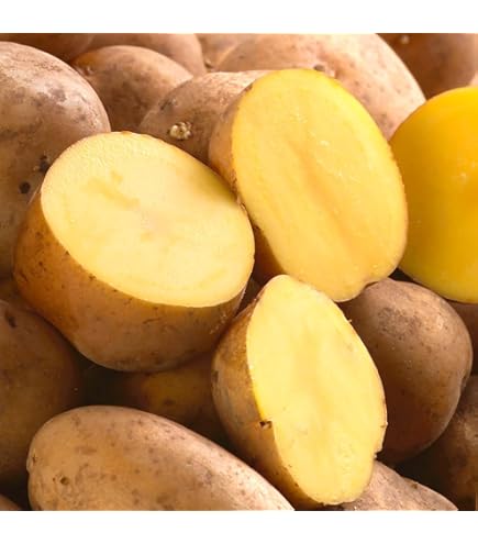 Amazon.co.jp: 北海道産 じゃがいも インカのめざめ 5kg (共撰/M-LM